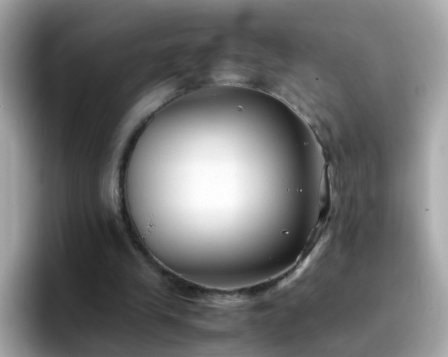 X0000096670245200802121157
