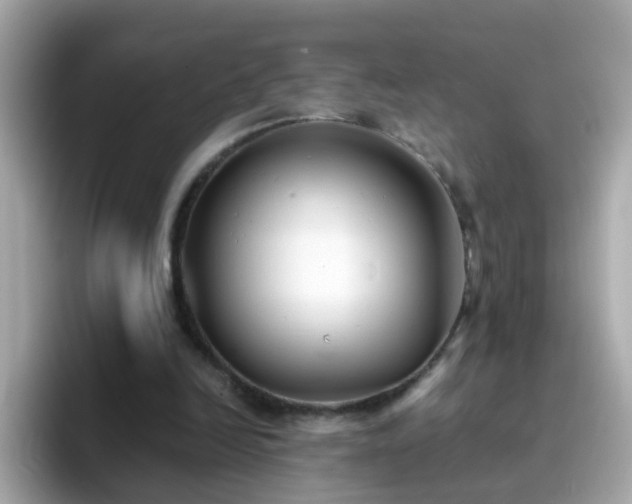 X0000096670246200802121157
