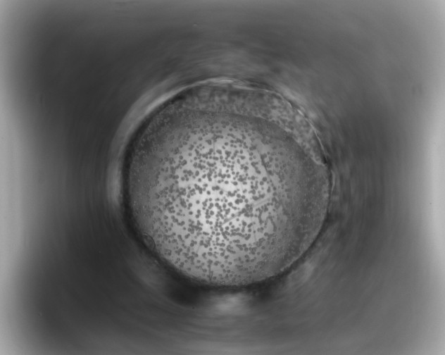 X0000096670247200802121157