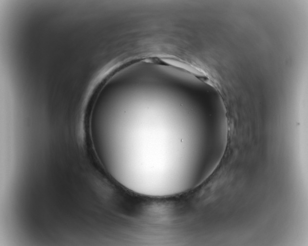 X0000096670248200802121157