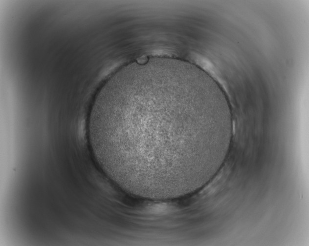 X0000096670249200802121157