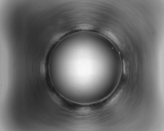 X0000096670252200802121157