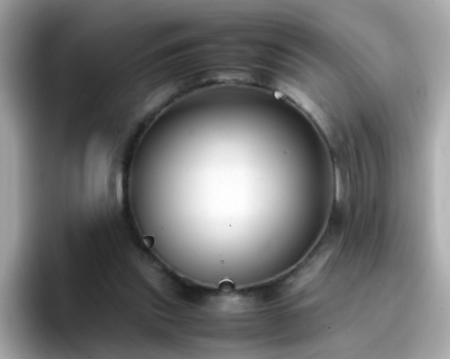 X0000096670253200802121157
