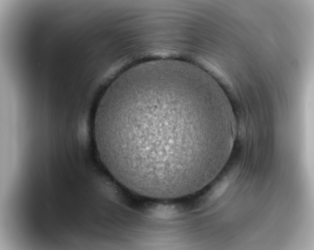 X0000096670256200802121157