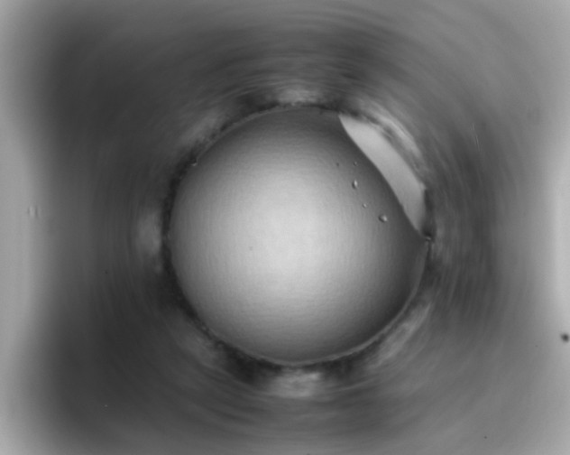 X0000096670257200802121157