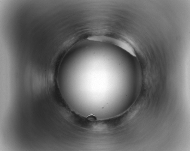 X0000096670258200802121157