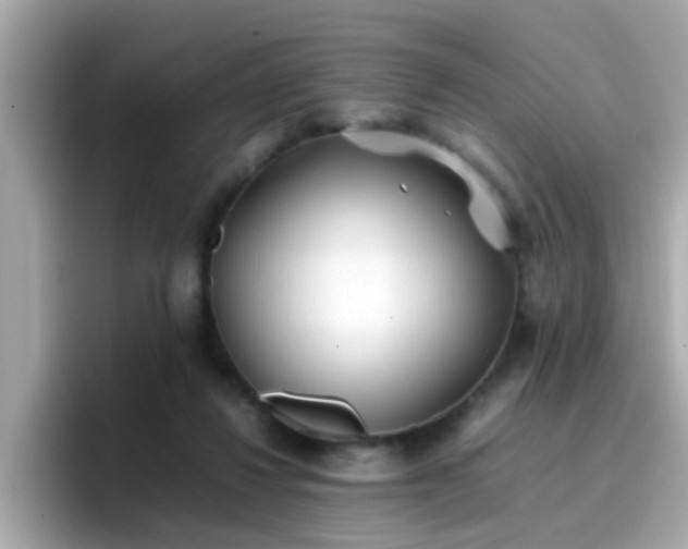 X0000096670260200802121157