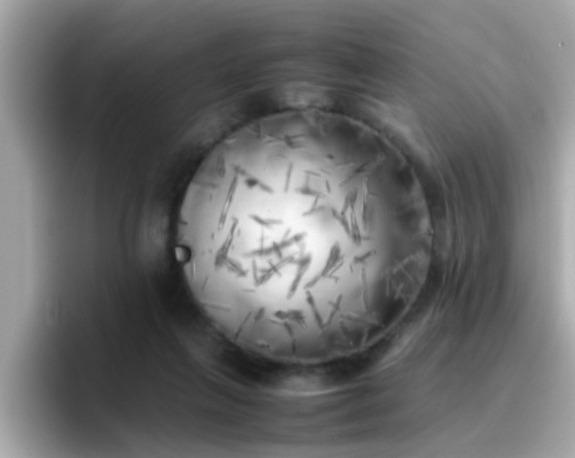 X0000096670263200802121157