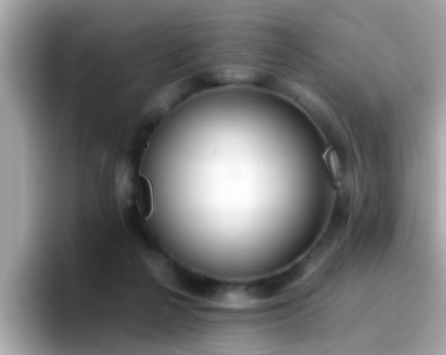 X0000096670264200802121157