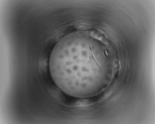 X0000096670271200802121157