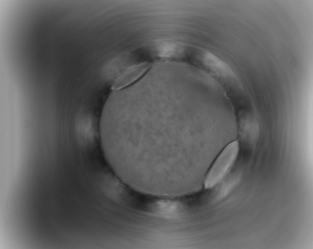X0000096670272200802121157