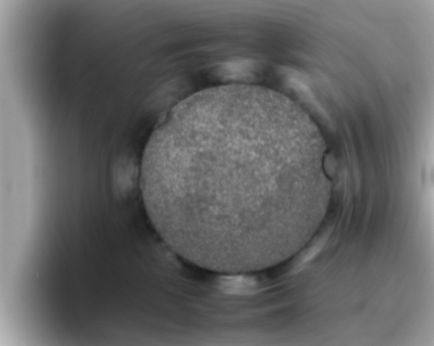 X0000096670281200802121157