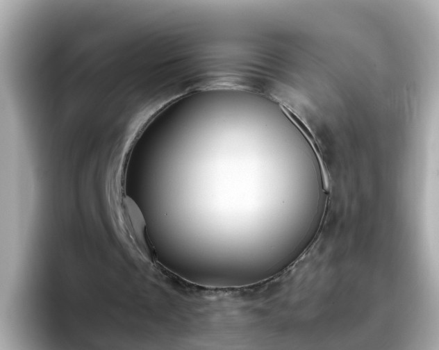 X0000096670289200802121157
