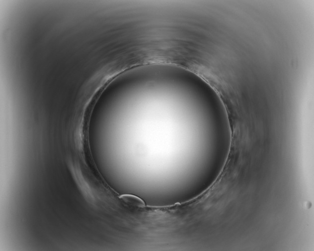 X0000096670290200802121157