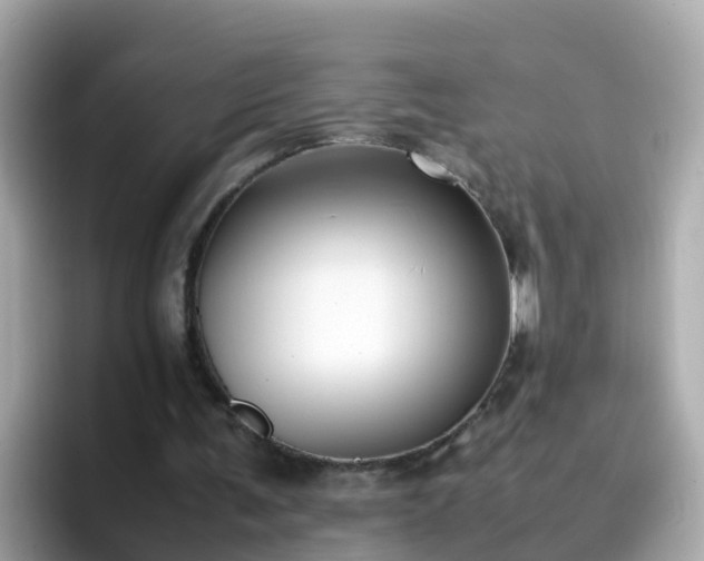 X0000096670291200802121157