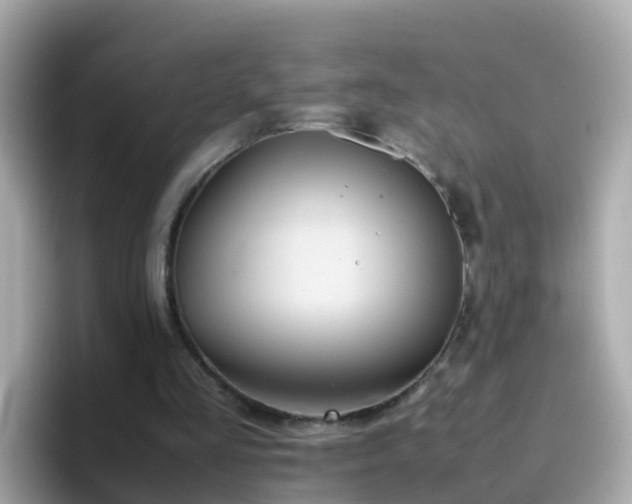 X0000096670293200802121157
