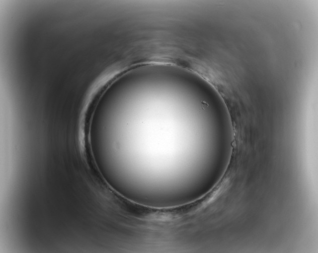 X0000096670294200802121157
