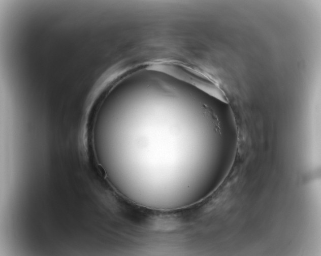 X0000096670296200802121157