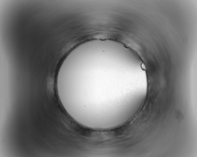 X0000096670297200802121157