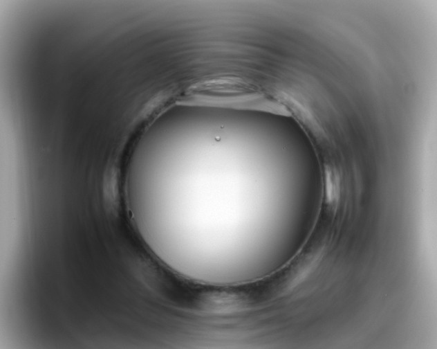 X0000096670300200802121157