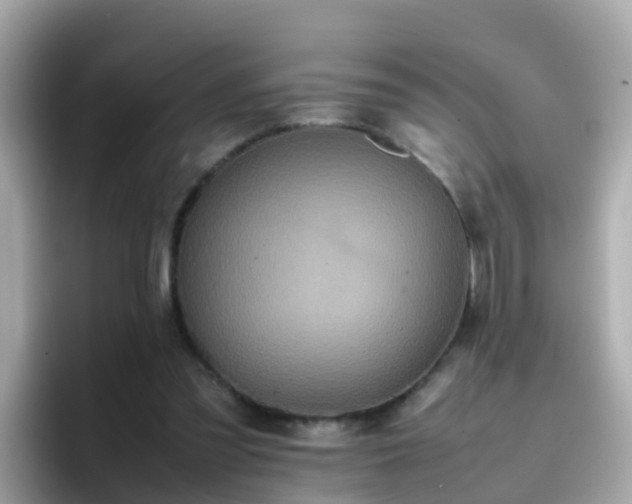 X0000096670301200802121157