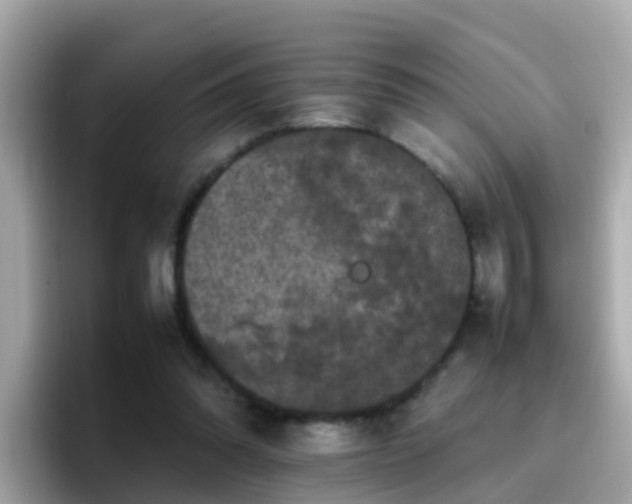 X0000096670302200802121157