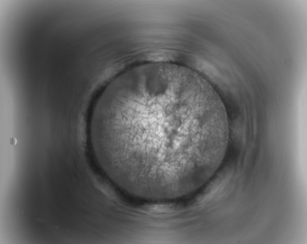 X0000096670303200802121157