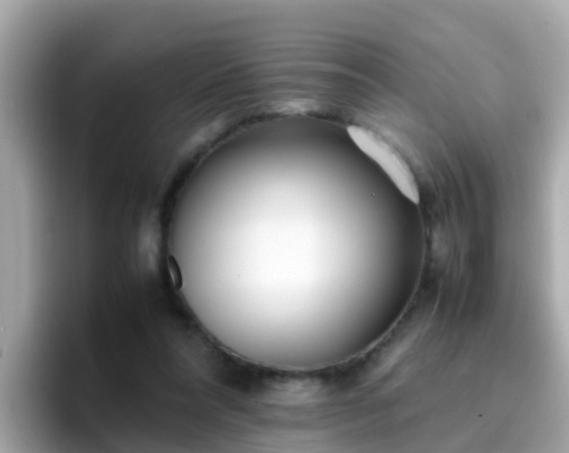 X0000096670304200802121157