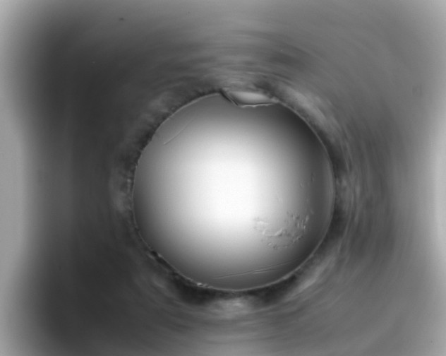 X0000096670307200802121156
