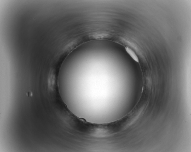 X0000096670308200802121156