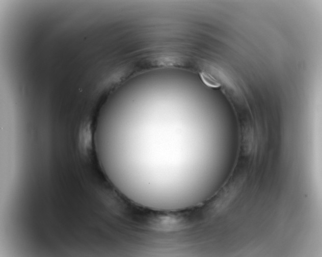 X0000096670310200802121156