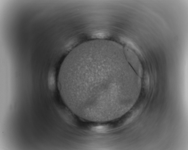 X0000096670312200802121156