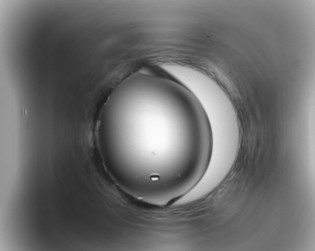 X0000096670313200802121156