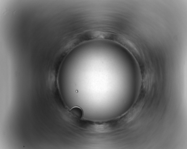 X0000096670314200802121156