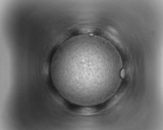 X0000096670315200802121156