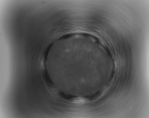 X0000096670316200802121156