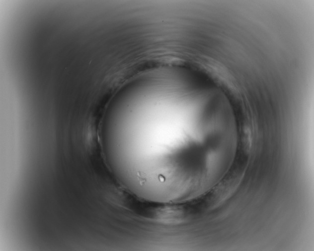X0000096670320200802121156