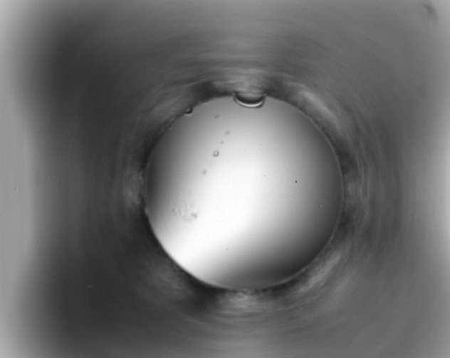 X0000096670325200802121156