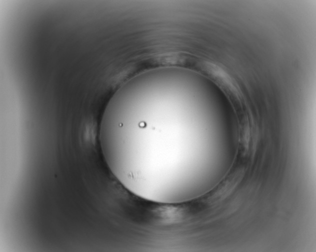 X0000096670326200802121156