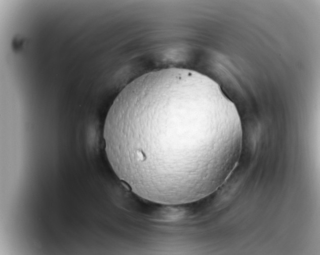 X0000096670328200802121156