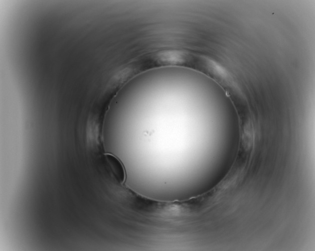 X0000096670330200802121156