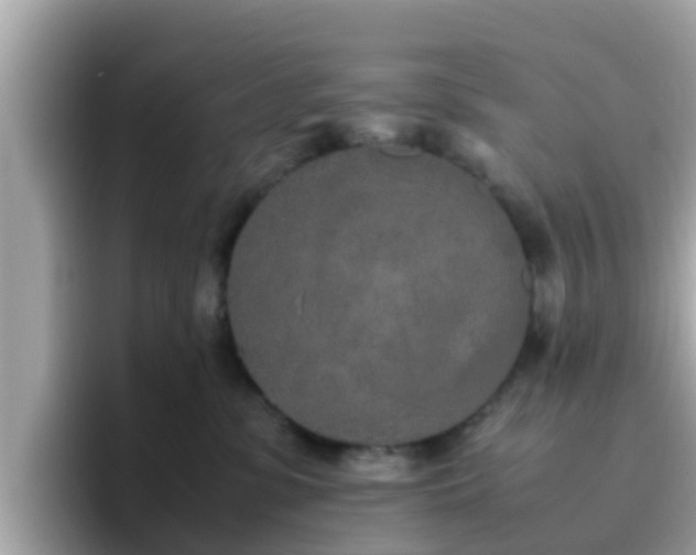 X0000096670331200802121156