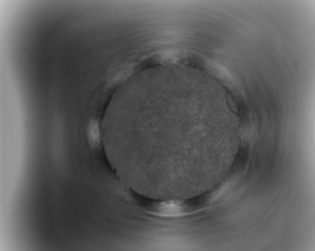 X0000096670335200802121156