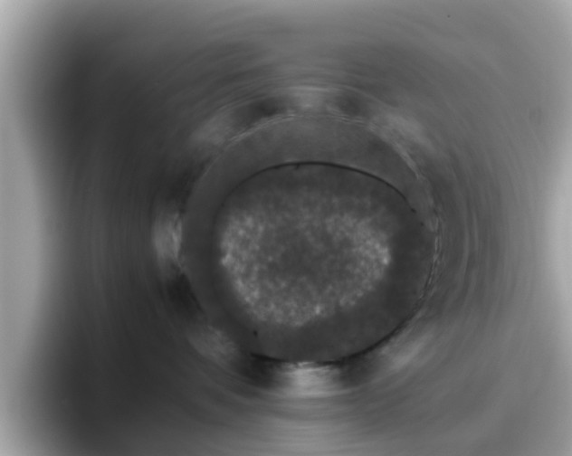 X0000096670336200802121156