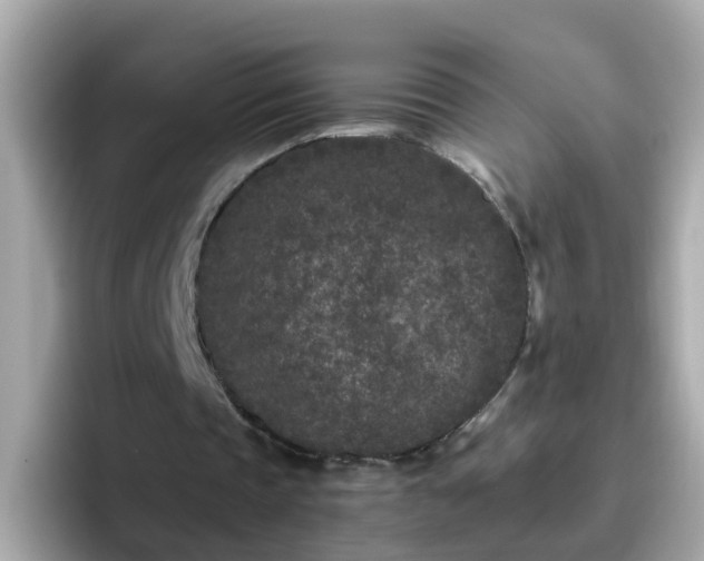 X0000096670337200802121155