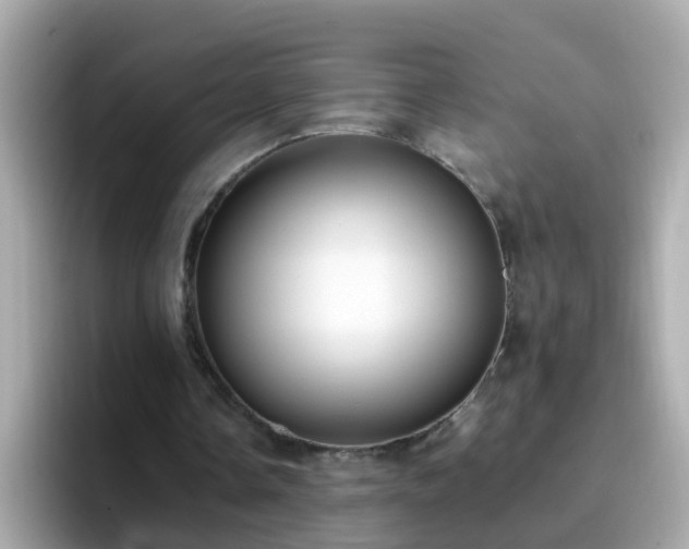 X0000096670338200802121155