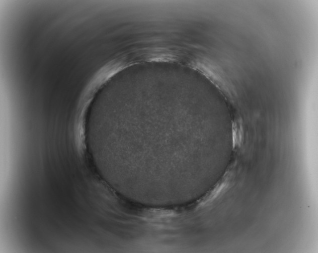 X0000096670339200802121155