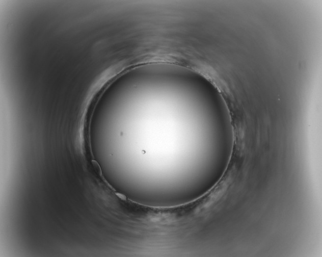 X0000096670340200802121156
