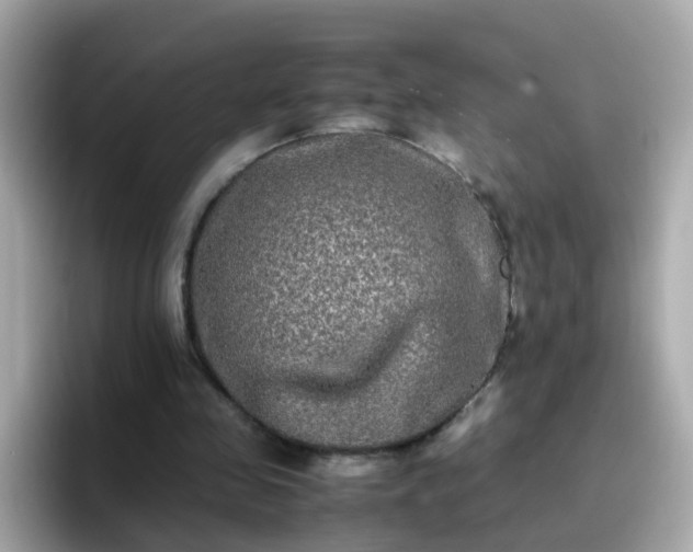X0000096670341200802121156