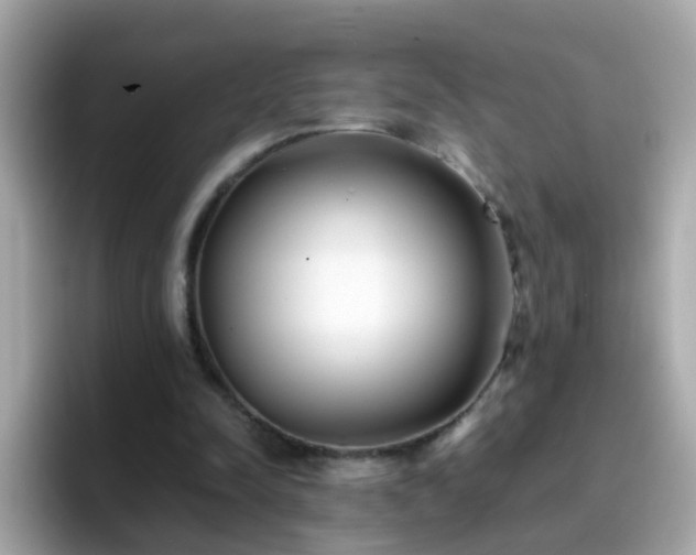 X0000096670342200802121156